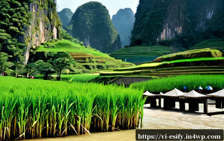 Giao tiếp nhất quán giúp tăng động lực tham gia: khung triển khai cho đội nhóm và cộng đồng 4 소통의 일관성이 참여 동기에 미치는 영향 관련 이미지 2